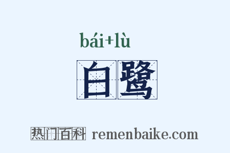 白鹭是什么意思的图片